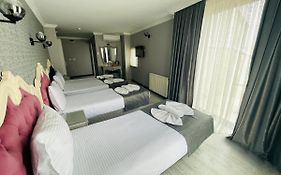 Old City Viva Hotel